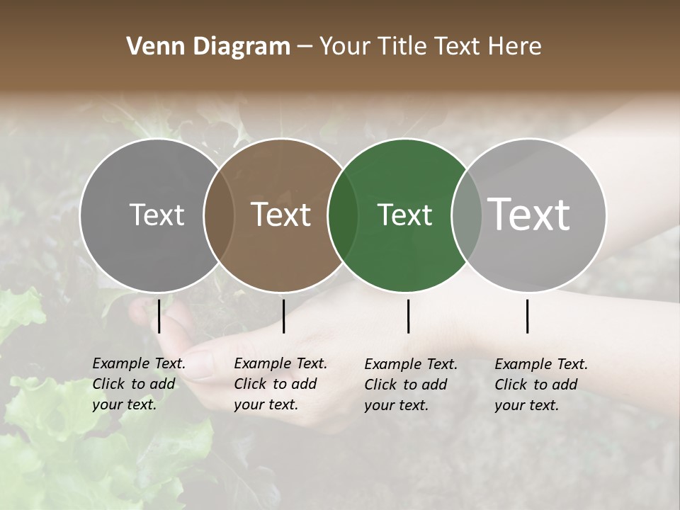 Leisure Woman Picking PowerPoint Template