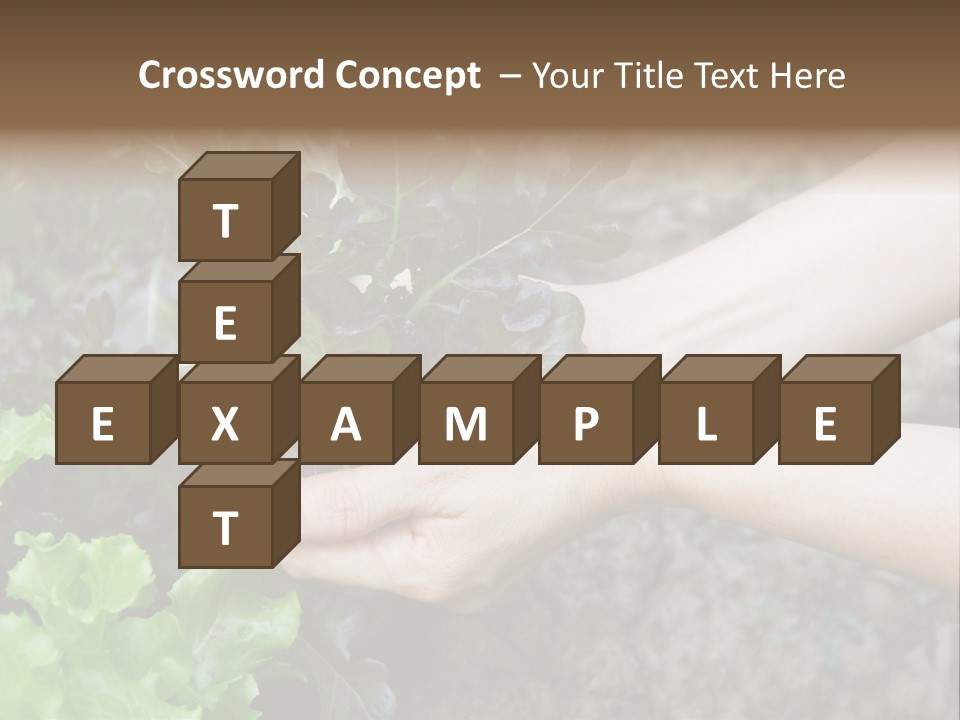 Leisure Woman Picking PowerPoint Template