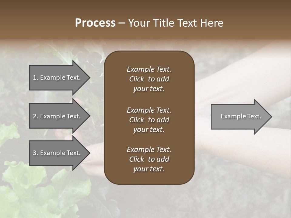 Leisure Woman Picking PowerPoint Template