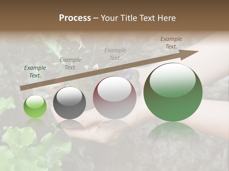 Leisure Woman Picking PowerPoint Template