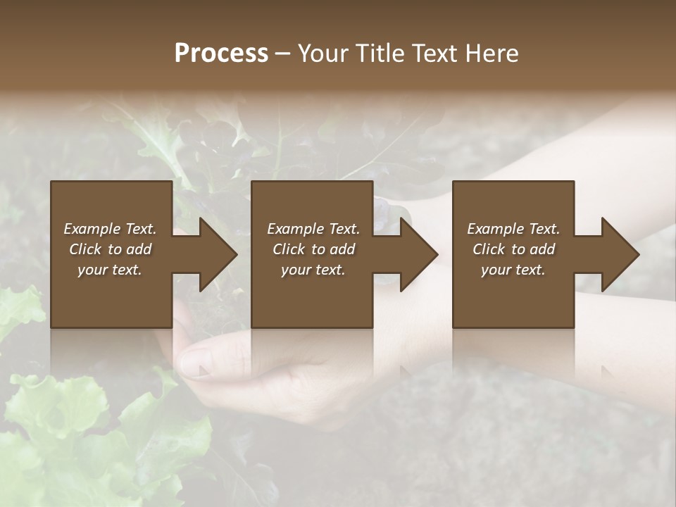Leisure Woman Picking PowerPoint Template