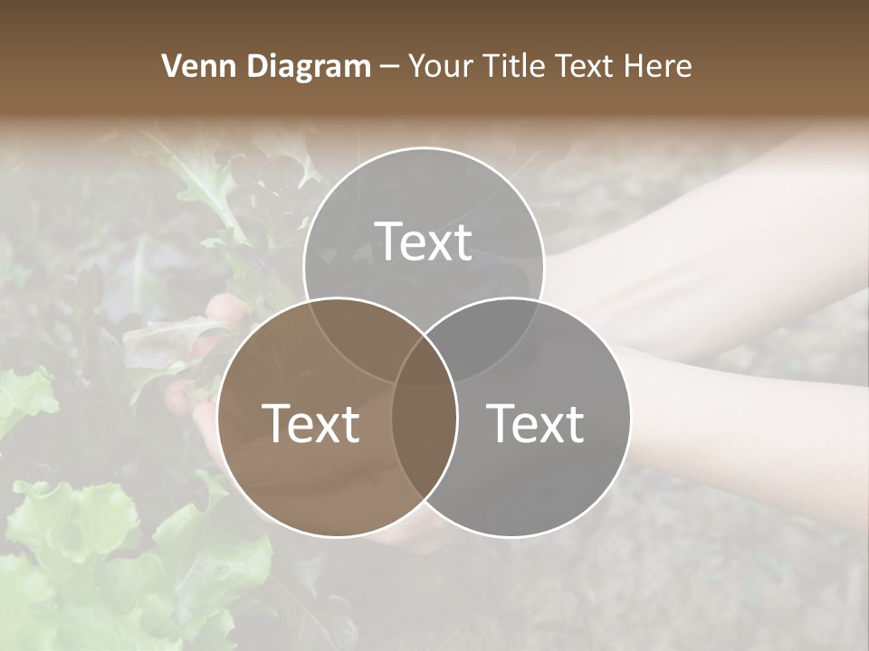 Leisure Woman Picking PowerPoint Template