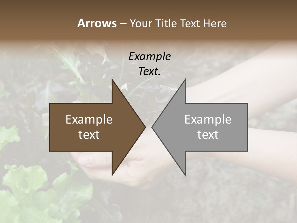 Leisure Woman Picking PowerPoint Template