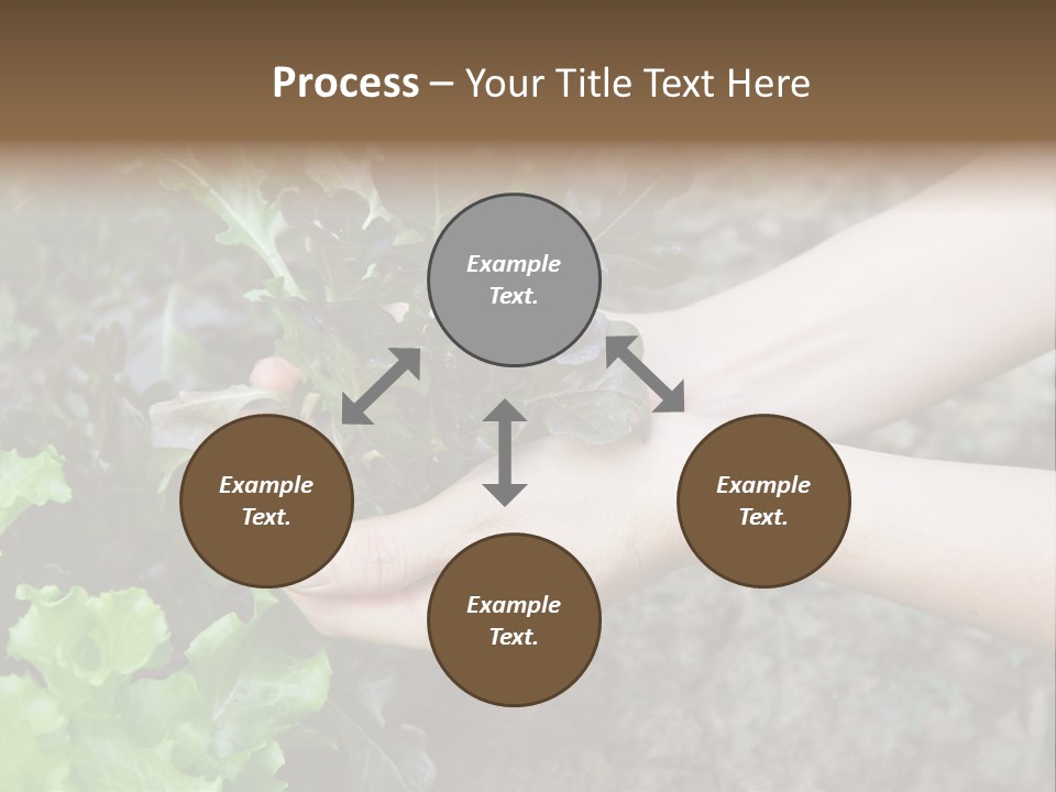 Leisure Woman Picking PowerPoint Template