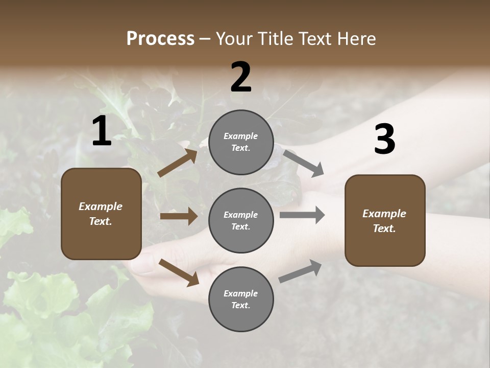 Leisure Woman Picking PowerPoint Template