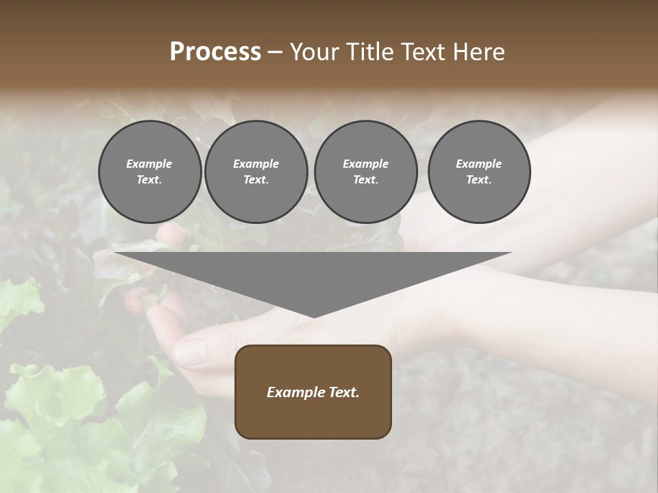 Leisure Woman Picking PowerPoint Template