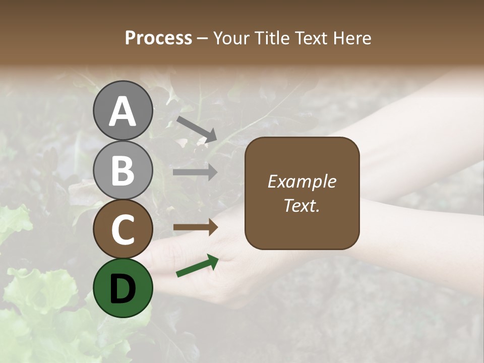 Leisure Woman Picking PowerPoint Template