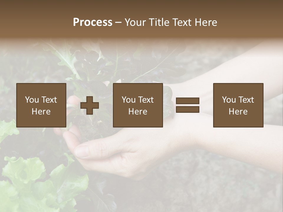 Leisure Woman Picking PowerPoint Template