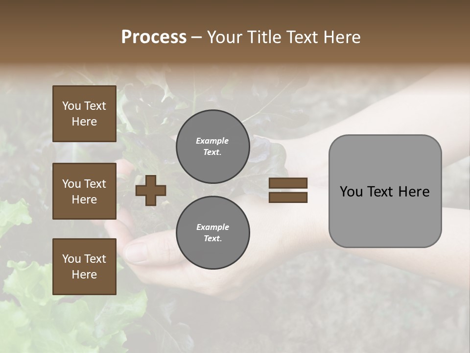 Leisure Woman Picking PowerPoint Template