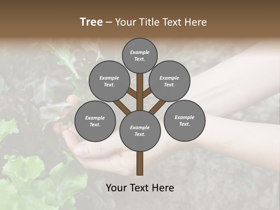 Leisure Woman Picking PowerPoint Template