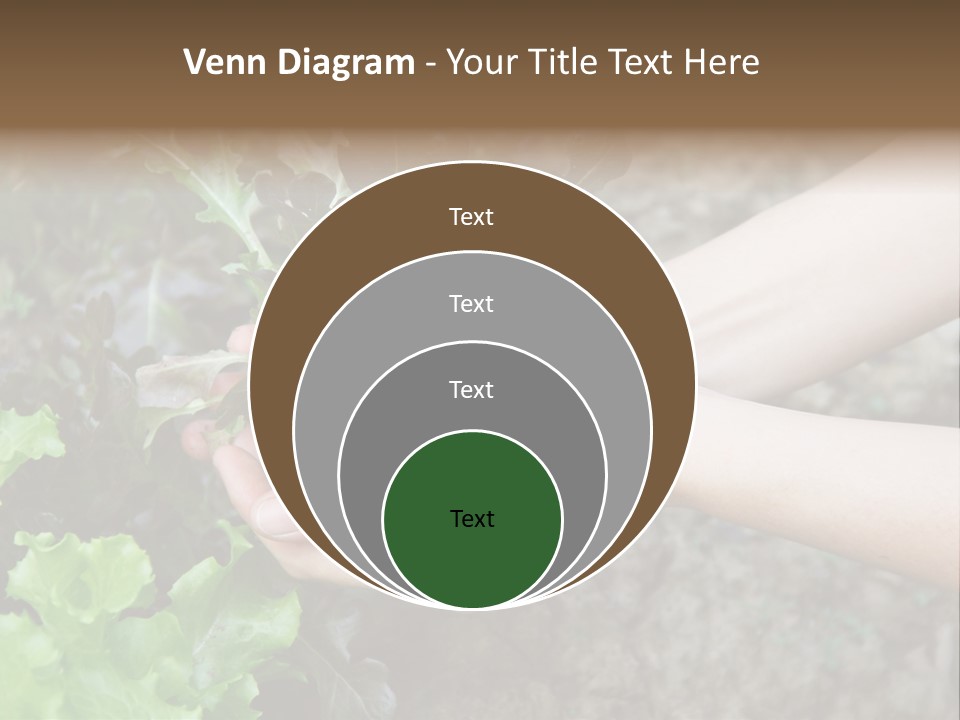 Leisure Woman Picking PowerPoint Template