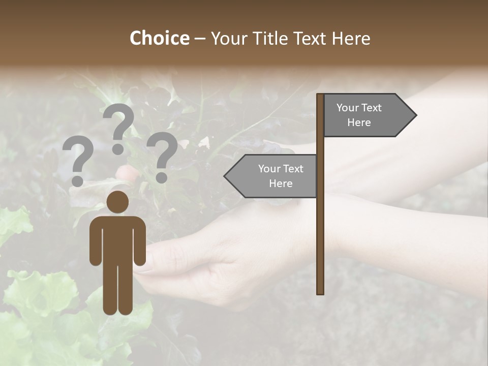 Leisure Woman Picking PowerPoint Template