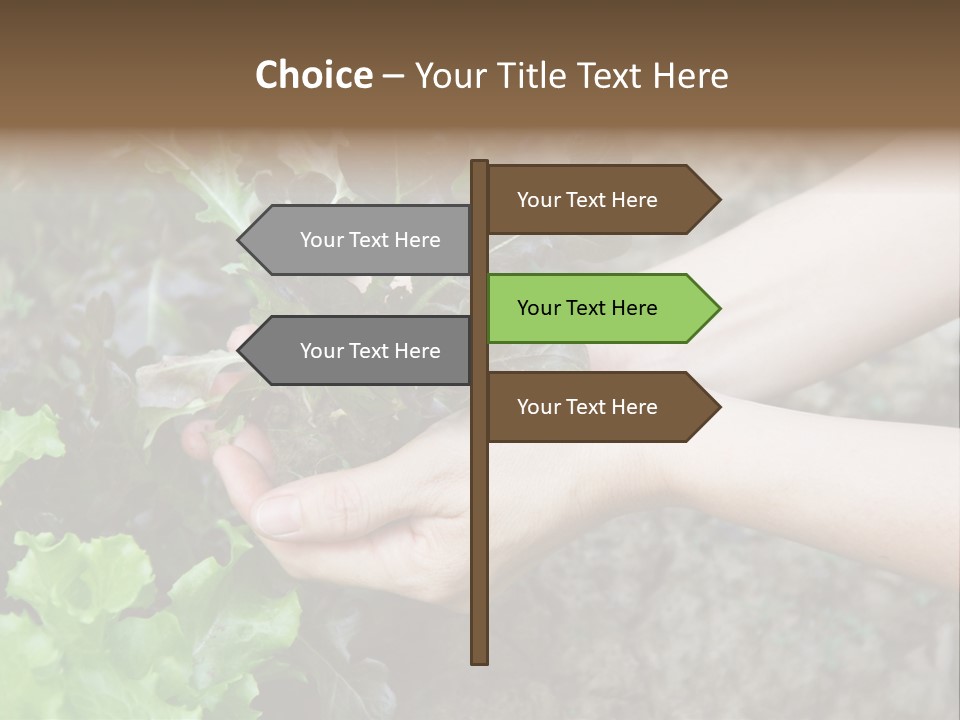 Leisure Woman Picking PowerPoint Template