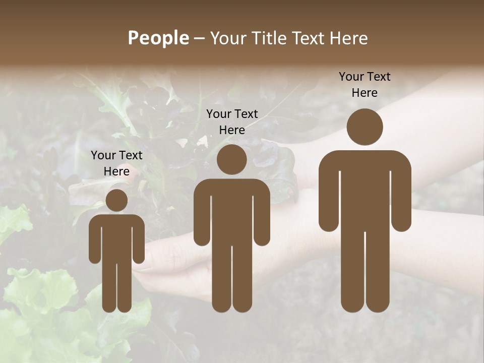 Leisure Woman Picking PowerPoint Template