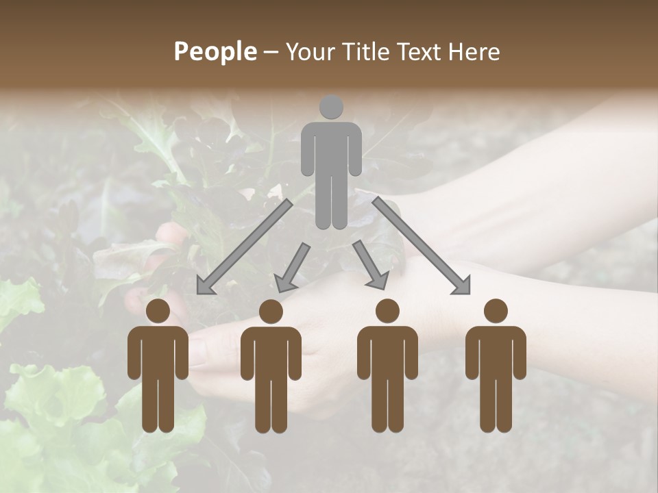 Leisure Woman Picking PowerPoint Template