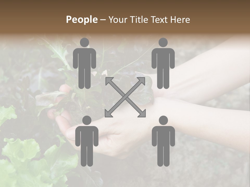 Leisure Woman Picking PowerPoint Template