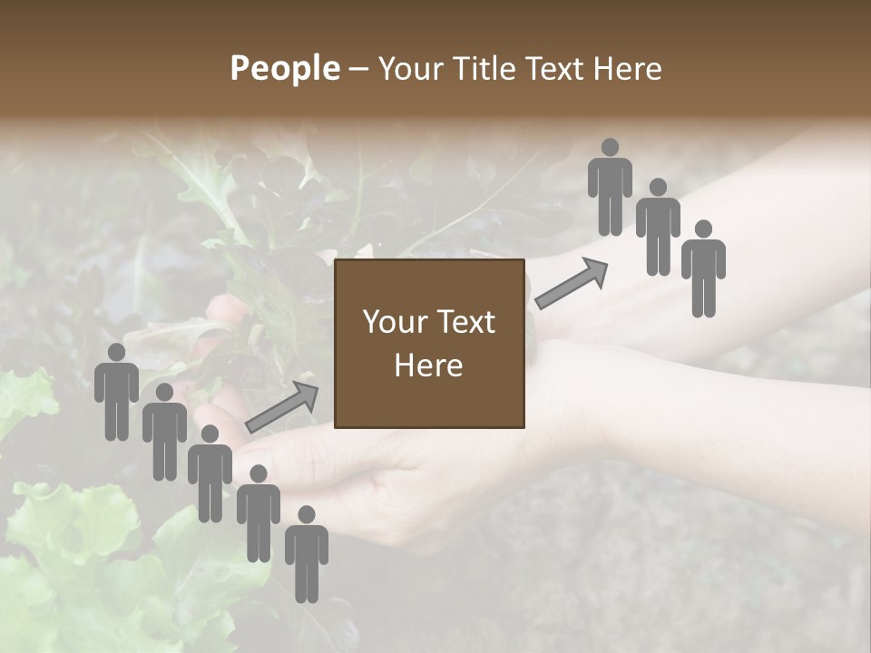 Leisure Woman Picking PowerPoint Template