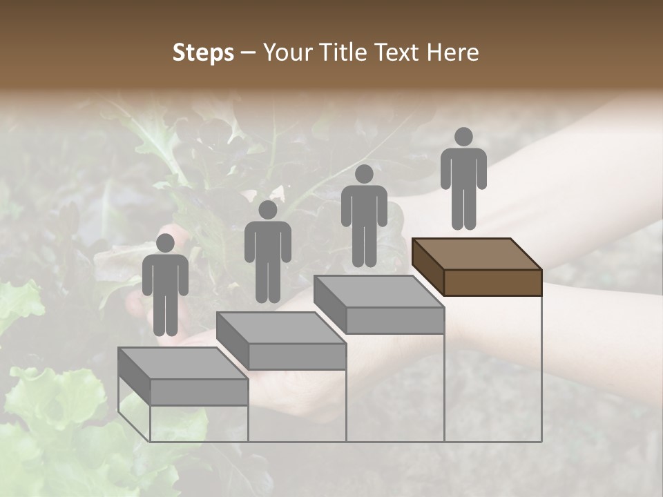 Leisure Woman Picking PowerPoint Template