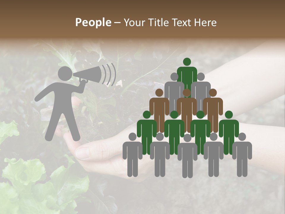 Leisure Woman Picking PowerPoint Template