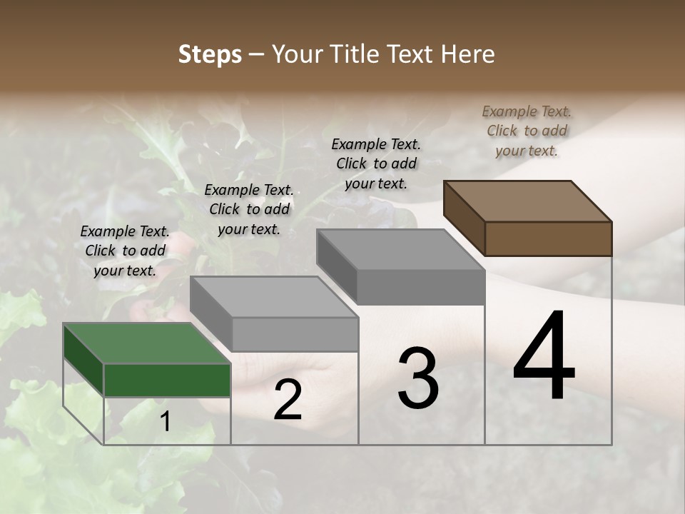 Leisure Woman Picking PowerPoint Template