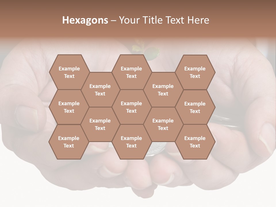 A Person Holding A Plant Growing From A Pile Of Coins PowerPoint Template