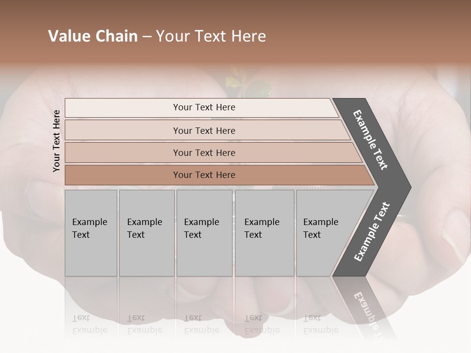 A Person Holding A Plant Growing From A Pile Of Coins PowerPoint Template