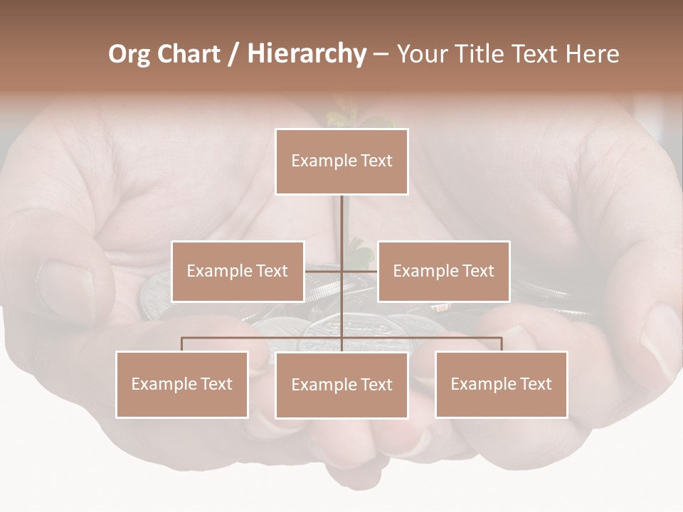 A Person Holding A Plant Growing From A Pile Of Coins PowerPoint Template