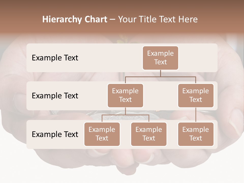 A Person Holding A Plant Growing From A Pile Of Coins PowerPoint Template