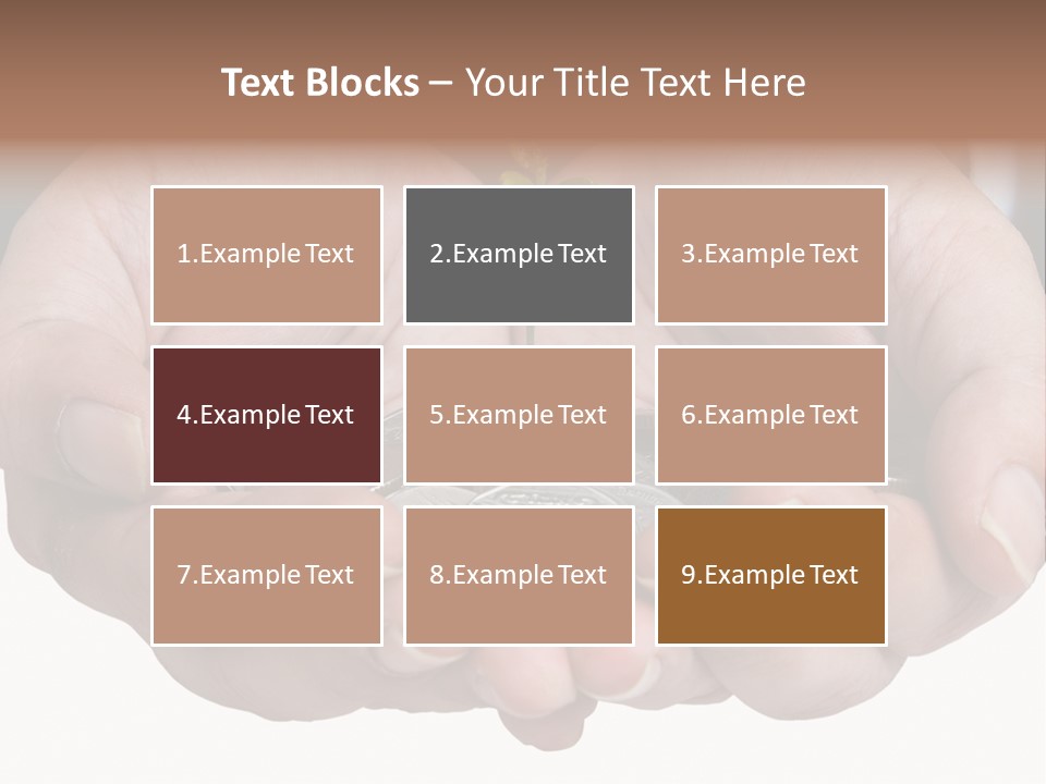 A Person Holding A Plant Growing From A Pile Of Coins PowerPoint Template