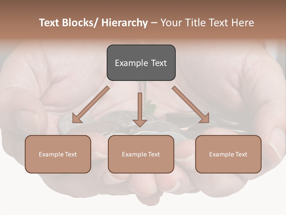 A Person Holding A Plant Growing From A Pile Of Coins PowerPoint Template