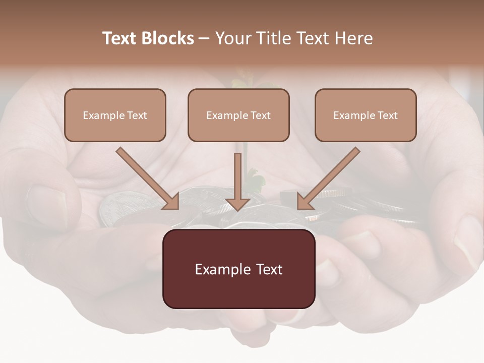 A Person Holding A Plant Growing From A Pile Of Coins PowerPoint Template