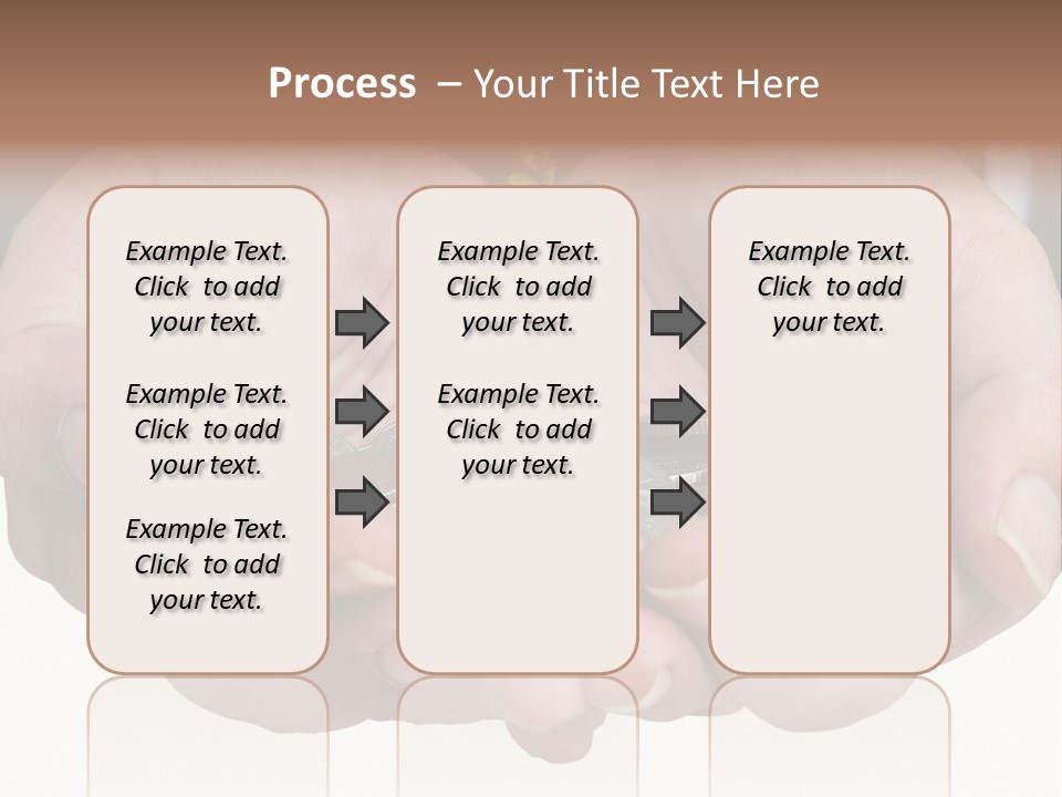 A Person Holding A Plant Growing From A Pile Of Coins PowerPoint Template