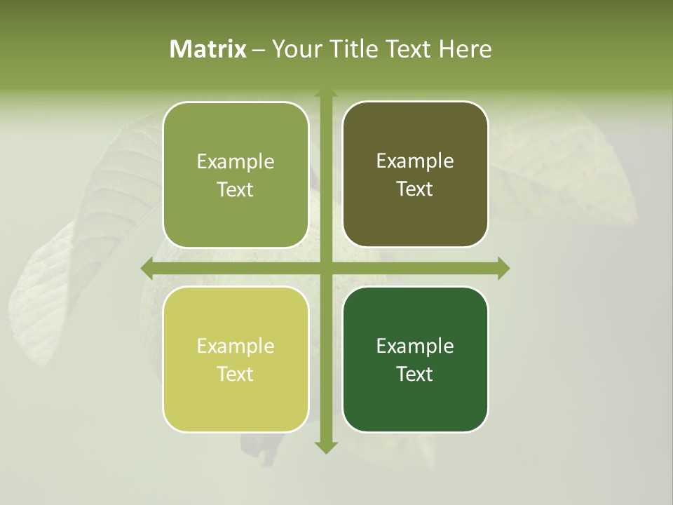 Orange Fruit Fiber PowerPoint Template