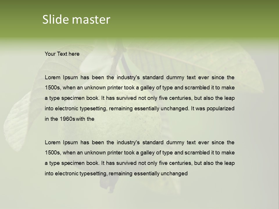 Orange Fruit Fiber PowerPoint Template