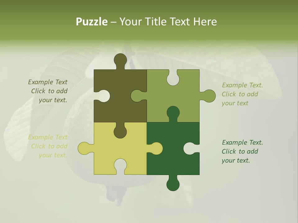 Orange Fruit Fiber PowerPoint Template