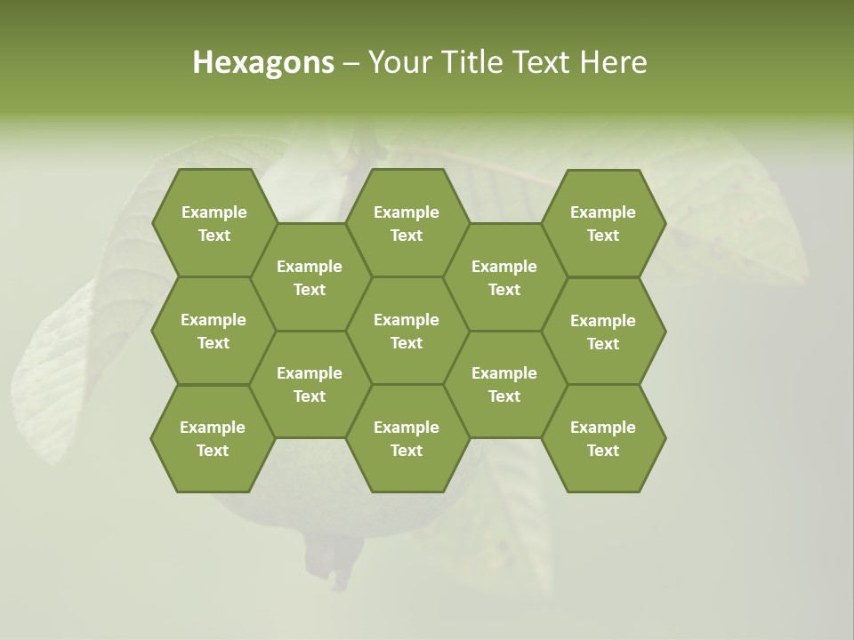 Orange Fruit Fiber PowerPoint Template