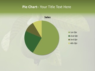 Orange Fruit Fiber PowerPoint Template