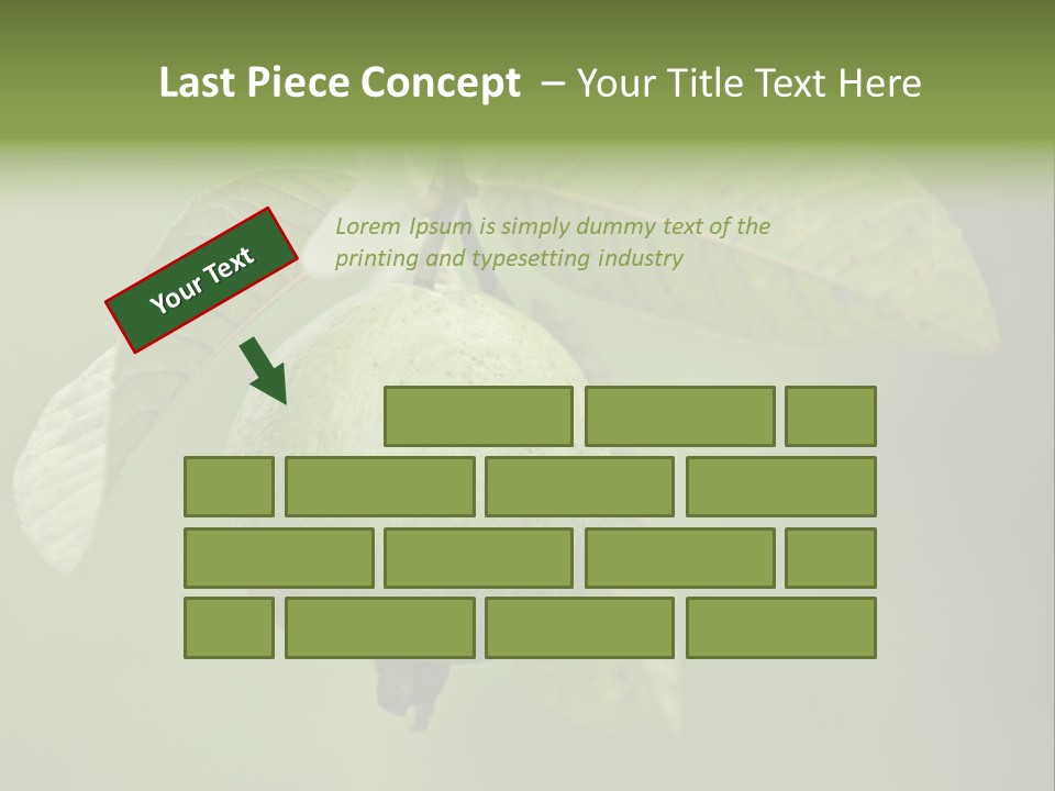 Orange Fruit Fiber PowerPoint Template