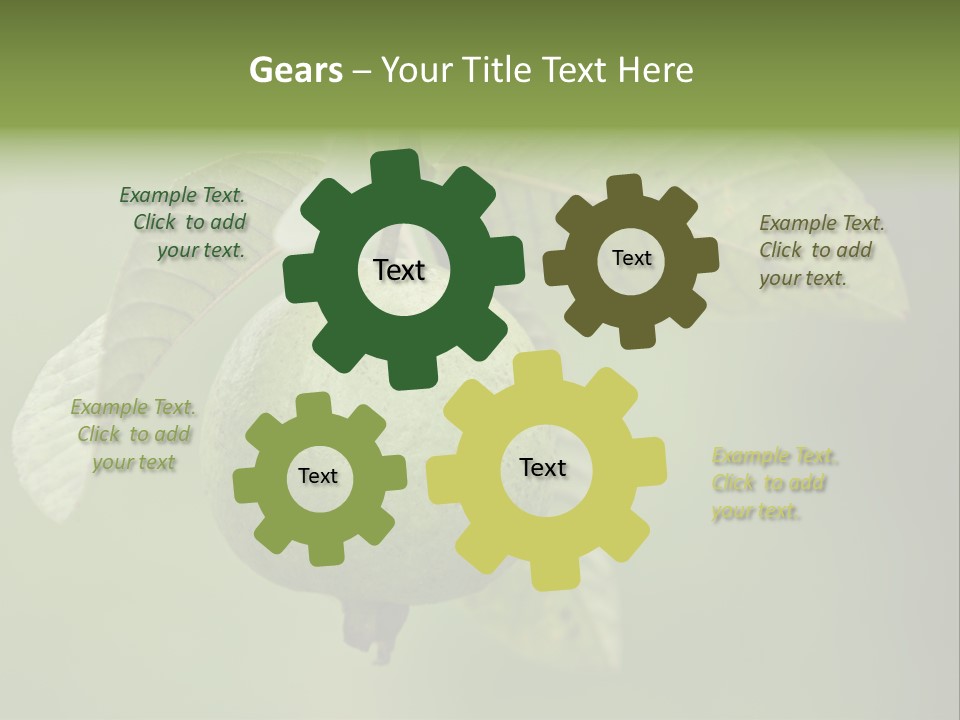 Orange Fruit Fiber PowerPoint Template