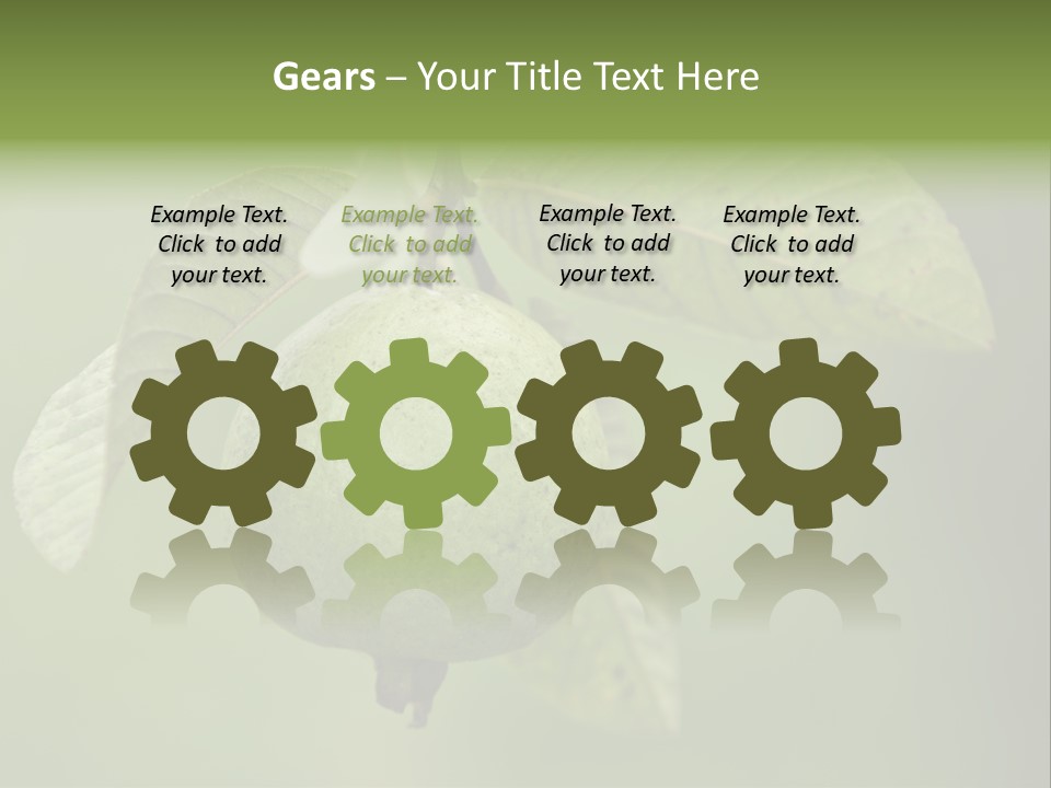 Orange Fruit Fiber PowerPoint Template