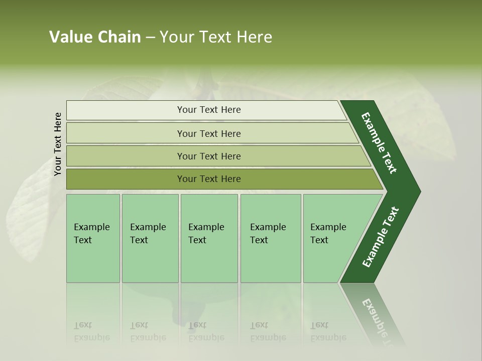 Orange Fruit Fiber PowerPoint Template