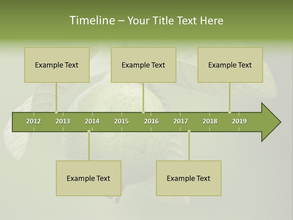 Orange Fruit Fiber PowerPoint Template