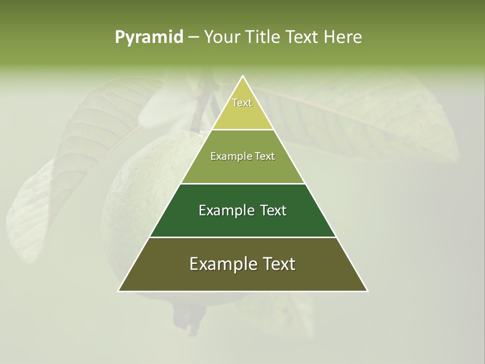 Orange Fruit Fiber PowerPoint Template