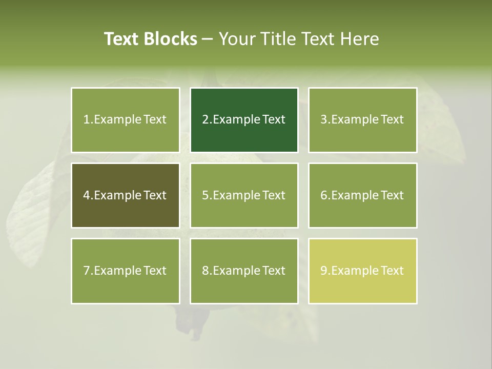 Orange Fruit Fiber PowerPoint Template