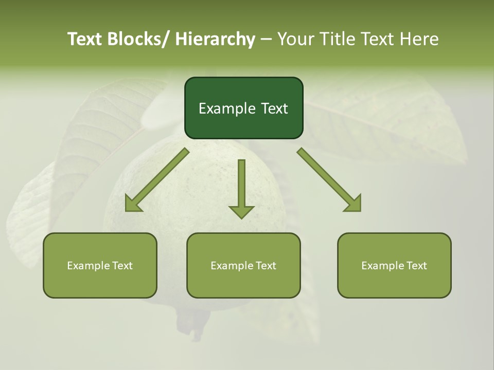 Orange Fruit Fiber PowerPoint Template