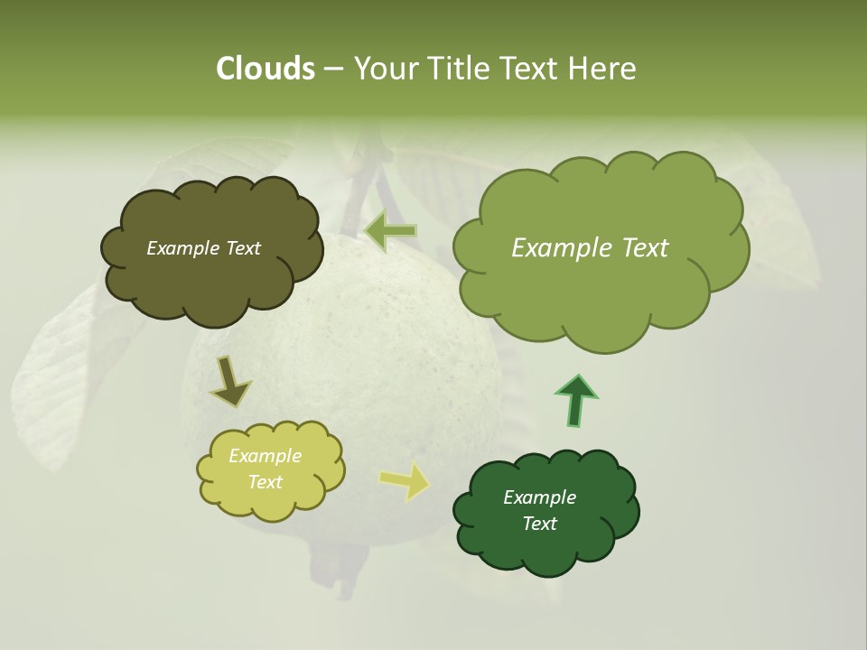 Orange Fruit Fiber PowerPoint Template