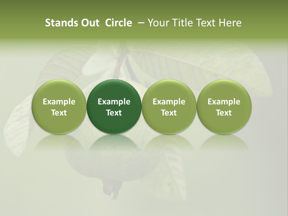 Orange Fruit Fiber PowerPoint Template