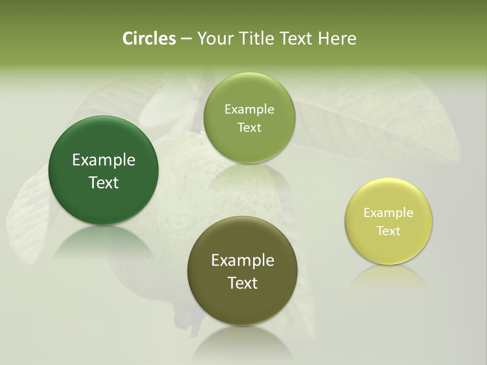 Orange Fruit Fiber PowerPoint Template