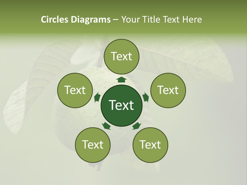 Orange Fruit Fiber PowerPoint Template