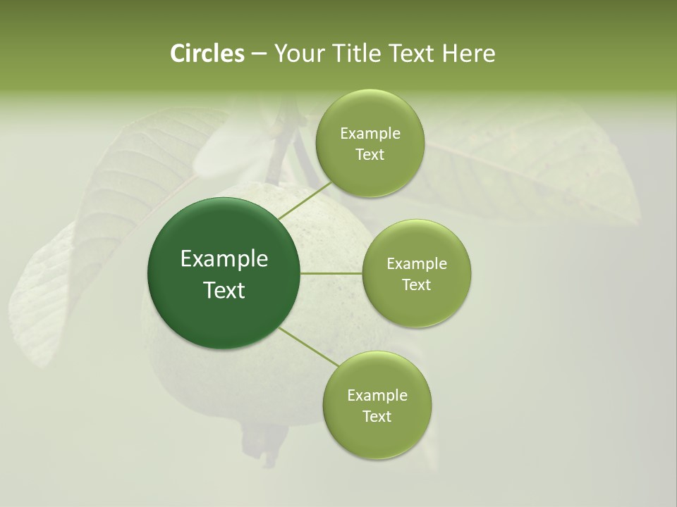 Orange Fruit Fiber PowerPoint Template